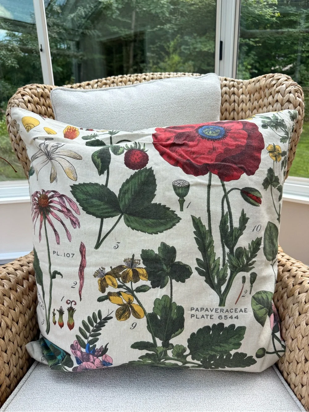 Pottery Barn Vintage Botanical Poppy Butterfly Pillow Cover 24x24 Linen Floral